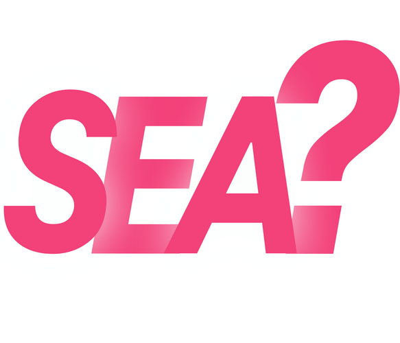 Was steckt hinter dem Begriff SEA?